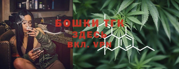 не бодяженный Заводоуковск
