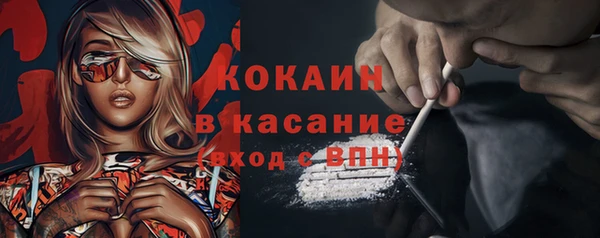 не бодяженный Заводоуковск