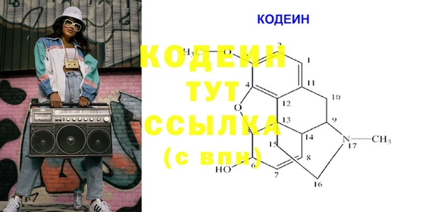 не бодяженный Заводоуковск