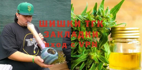 не бодяженный Заводоуковск