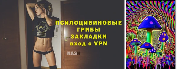 не бодяженный Заводоуковск
